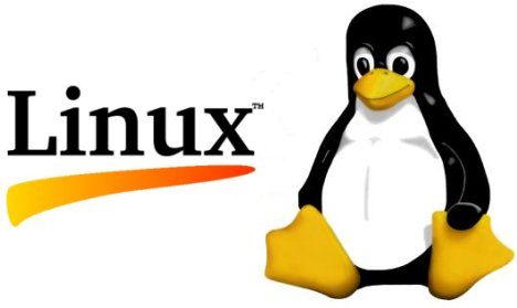 CNR-Sim Linux support updated!